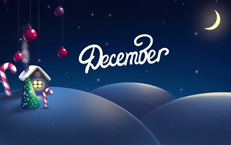 Actividades de Diciembre 2022