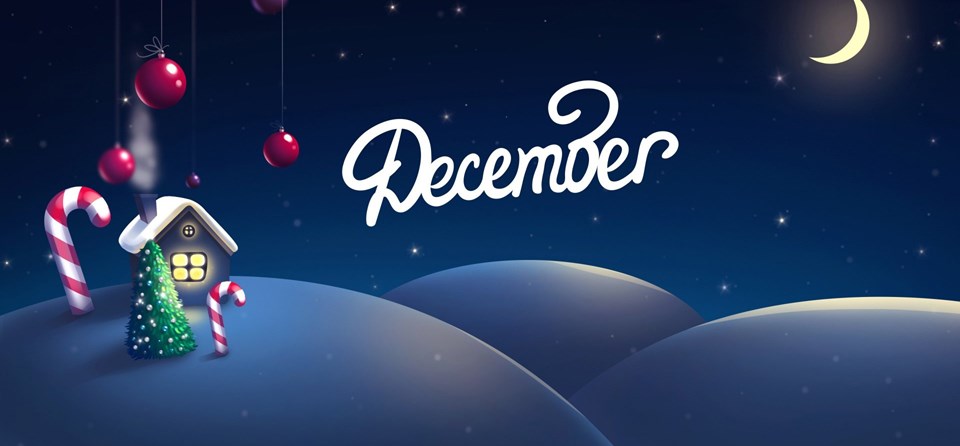 Actividades de Diciembre 2022